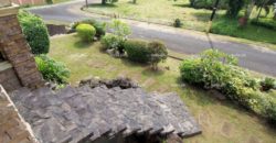 Tagaytay Greenlands Lemongrass Tagaytay Greenlands Lemongrass