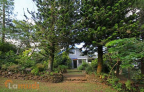 House and lot House and lot