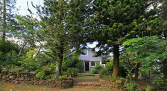 House and lot House and lot