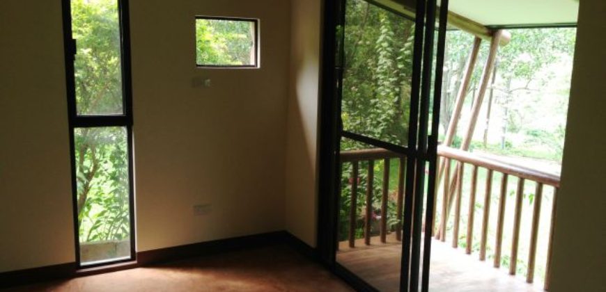 All-Concrete Log Homes