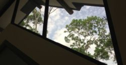 All-Concrete Log Homes All-Concrete Log Homes