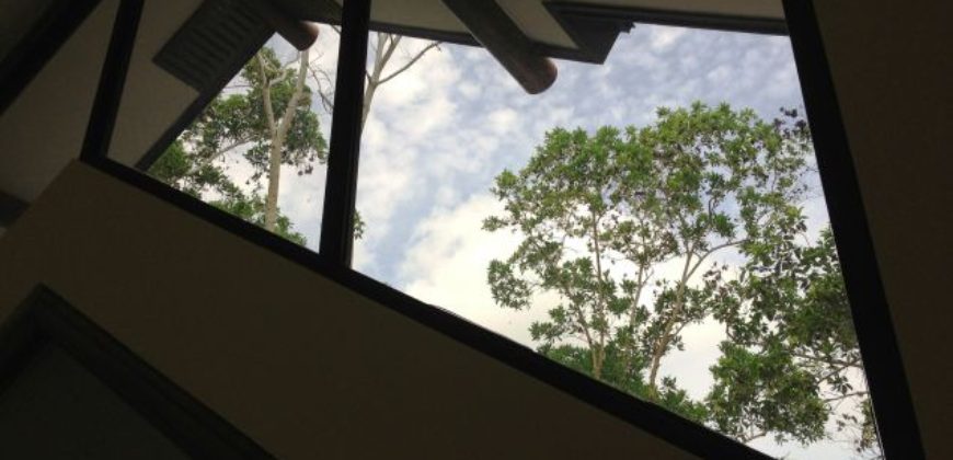 All-Concrete Log Homes